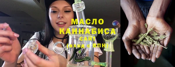 амф Снежногорск