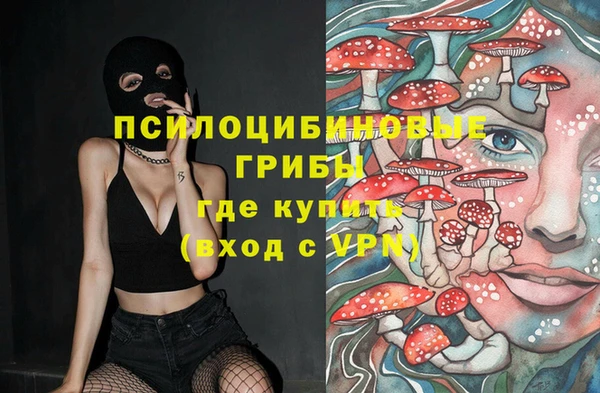 герыч Дмитров