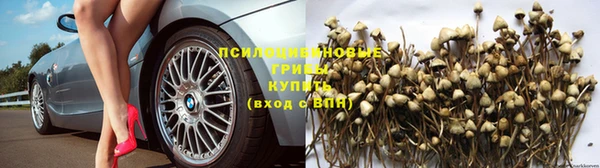 герыч Дмитров