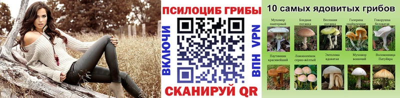 Псилоцибиновые грибы мухоморы  наркошоп  Нижняя Тура 